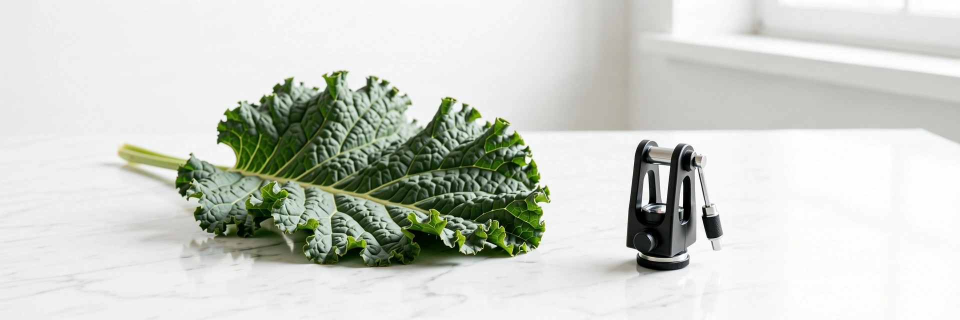 Professionelle Arbeitsumgebung DietaWell